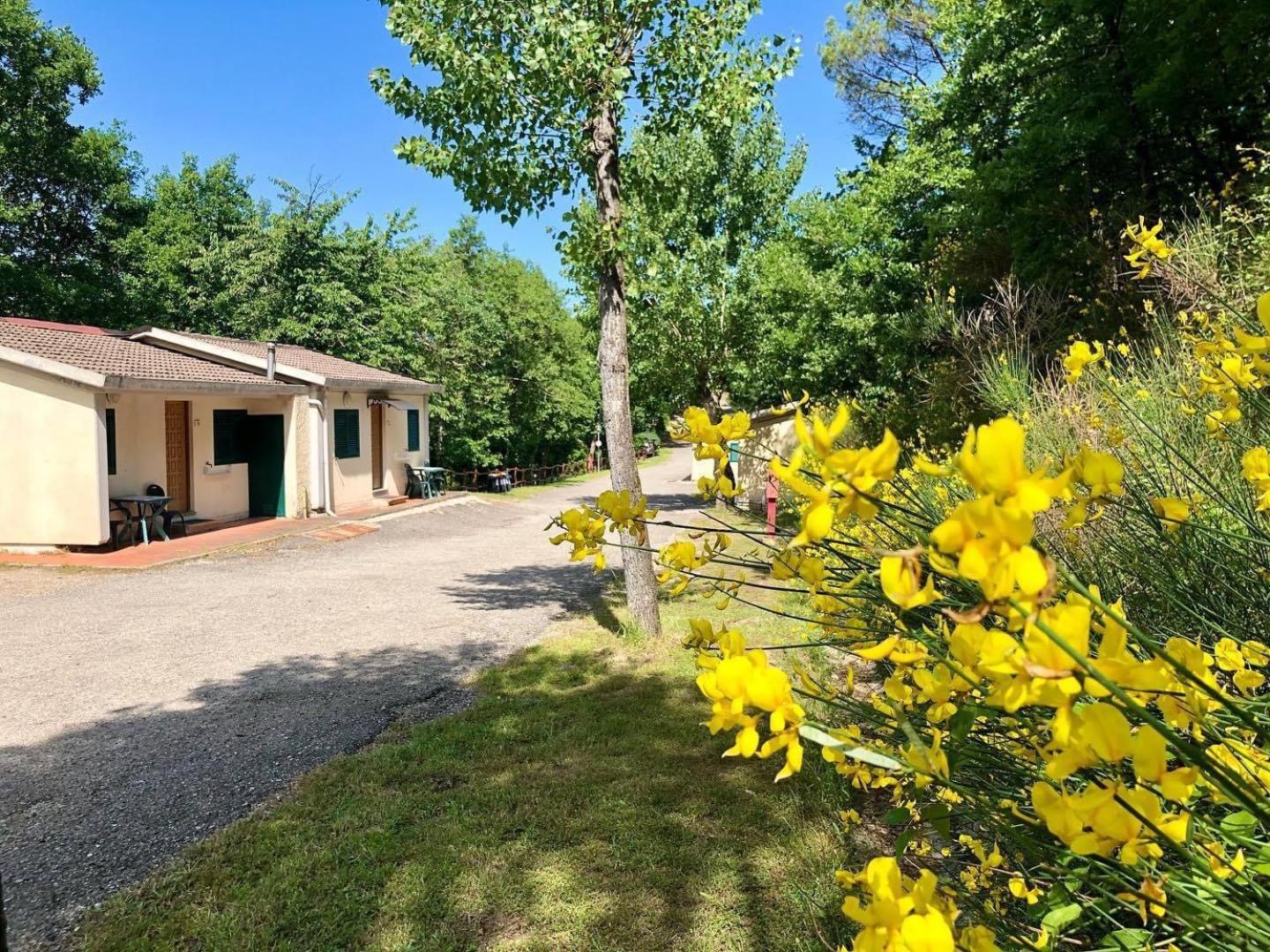 Camping Village Mugello Verde Сан-П'єро-а-Сьєве Екстер'єр фото