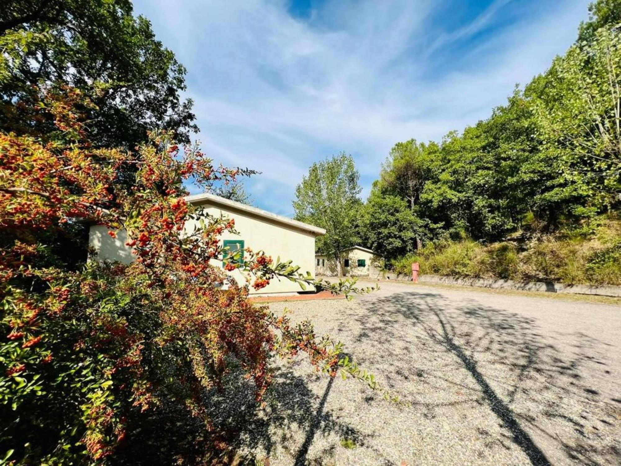 Camping Village Mugello Verde Сан-П'єро-а-Сьєве Номер фото