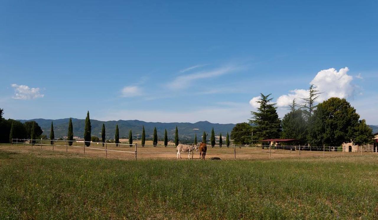 Camping Village Mugello Verde Сан-П'єро-а-Сьєве Номер фото